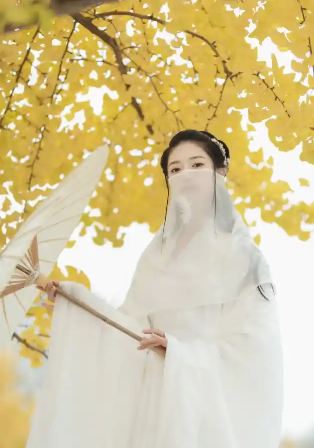 人人鲁免费播放视频_和艳妇在厨房好爽在线观看_在线观看无码的免费网站