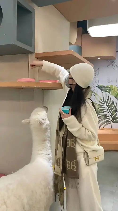人人鲁免费播放视频_和艳妇在厨房好爽在线观看_在线观看无码的免费网站