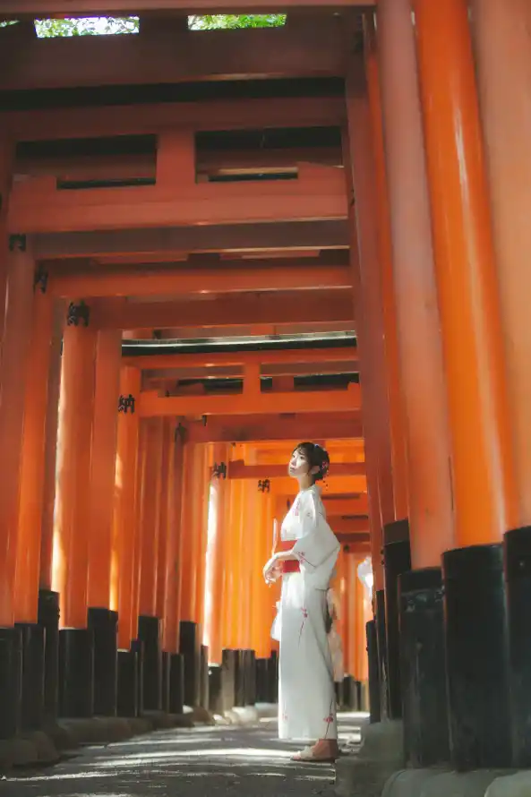 人人鲁免费播放视频_和艳妇在厨房好爽在线观看_在线观看无码的免费网站
